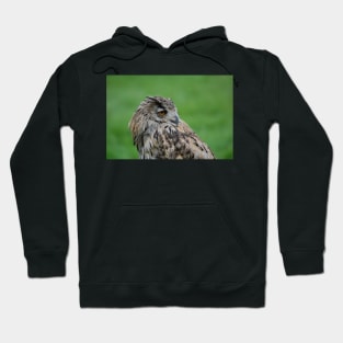 Turkmen (turkmenistan) Owl Hoodie